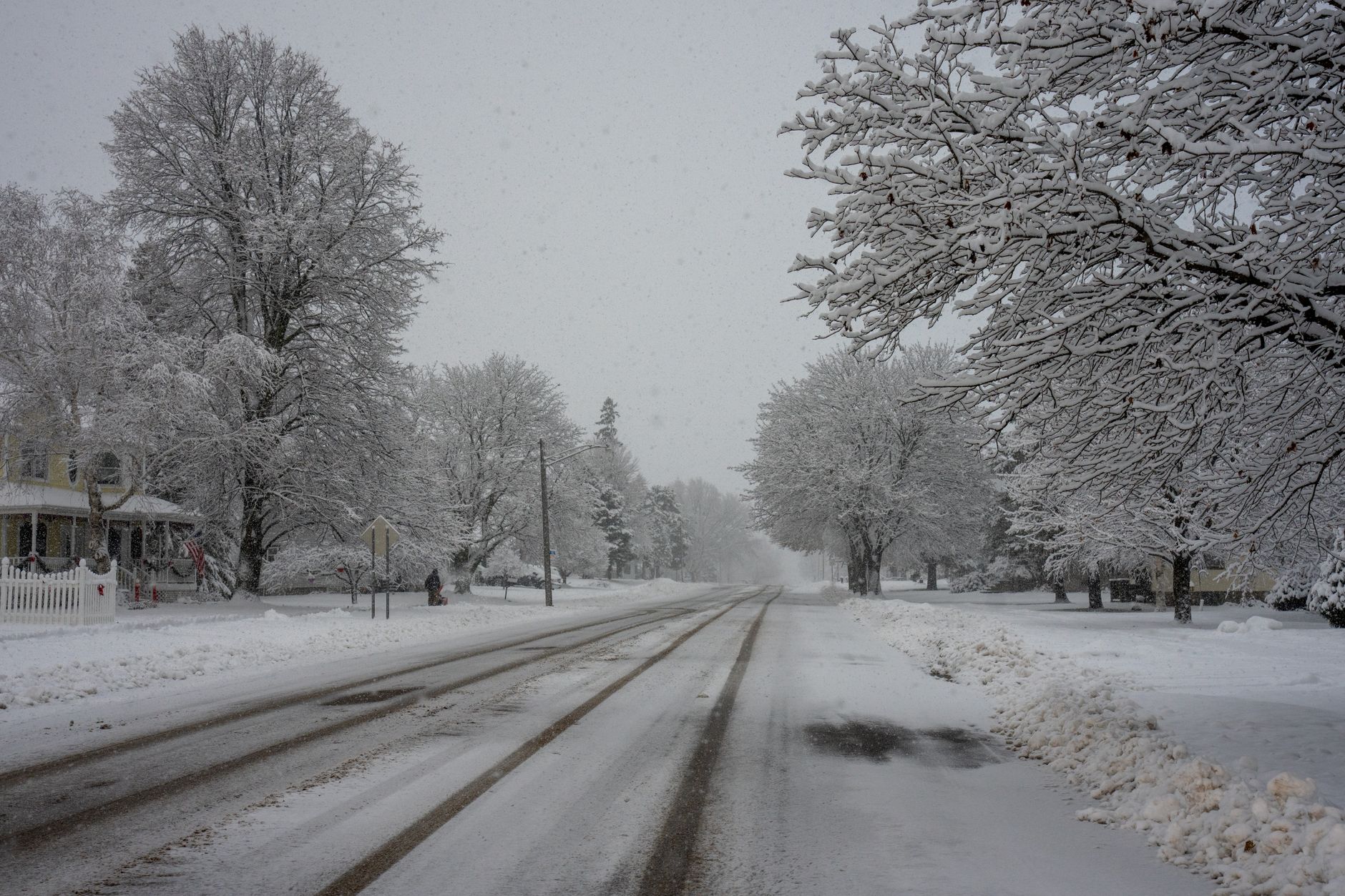 A serene winter landscape of a snow-covered road and trees in Plainview, Minnesota.