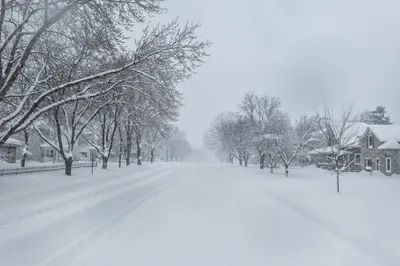 A serene snowy street in Wabasha, Minnesota, showcasing a peaceful winter landscape with snow-covered trees and homes.